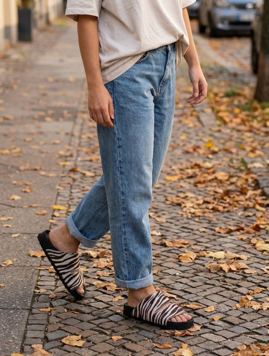 Birken cebra