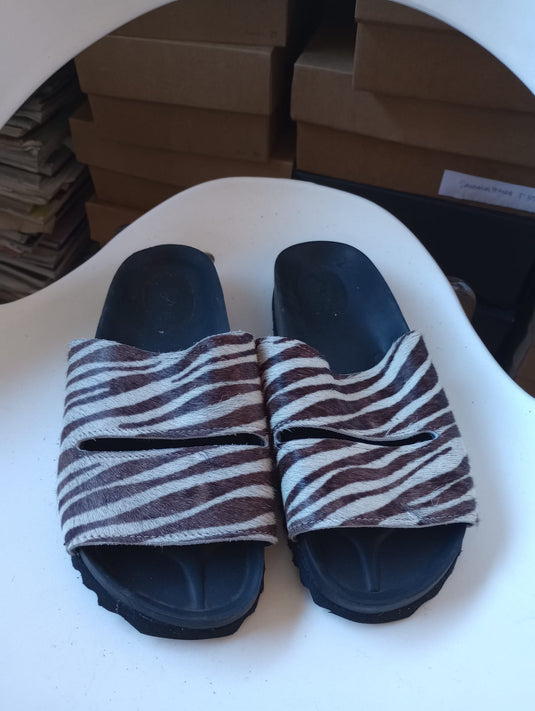 Birken cebra