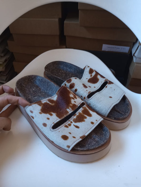Birken vaca