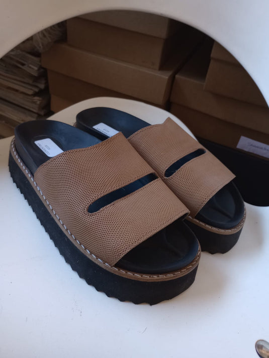 Birken marrón