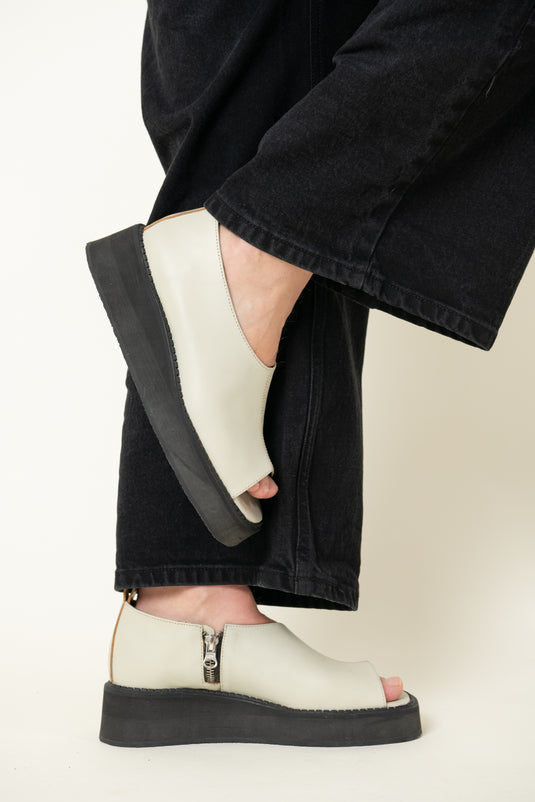 Zapato hielo