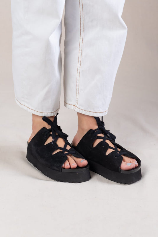 Birken acordonada